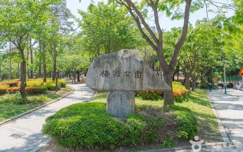 매탄공원