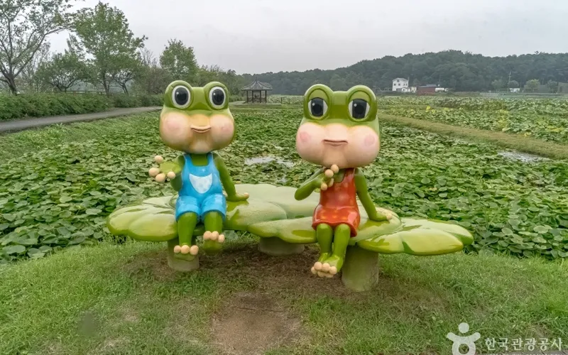 내동마을 연꽃단지
