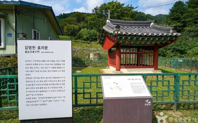 강영천효자문