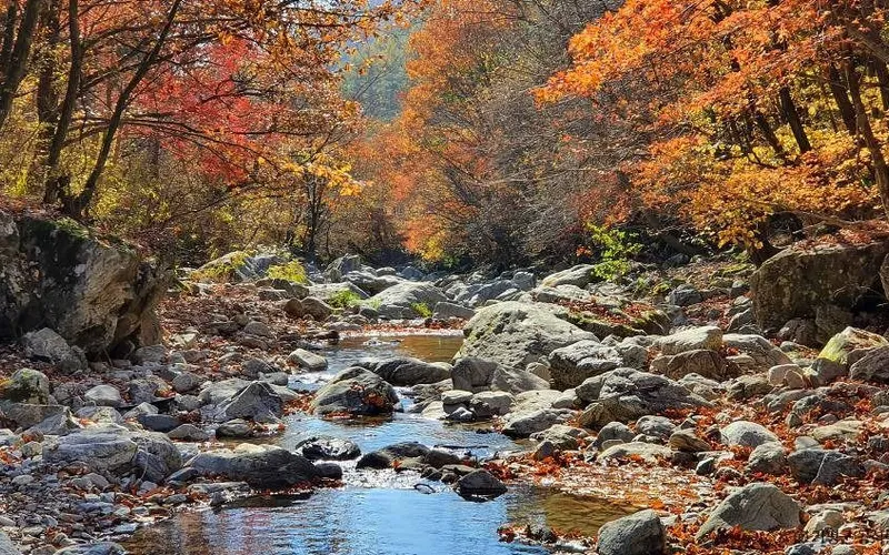 경반계곡