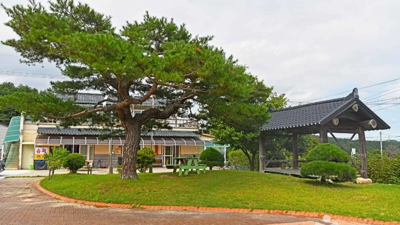 강릉 해살이마을