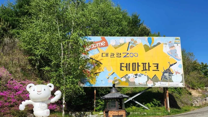 대관령 주주파크