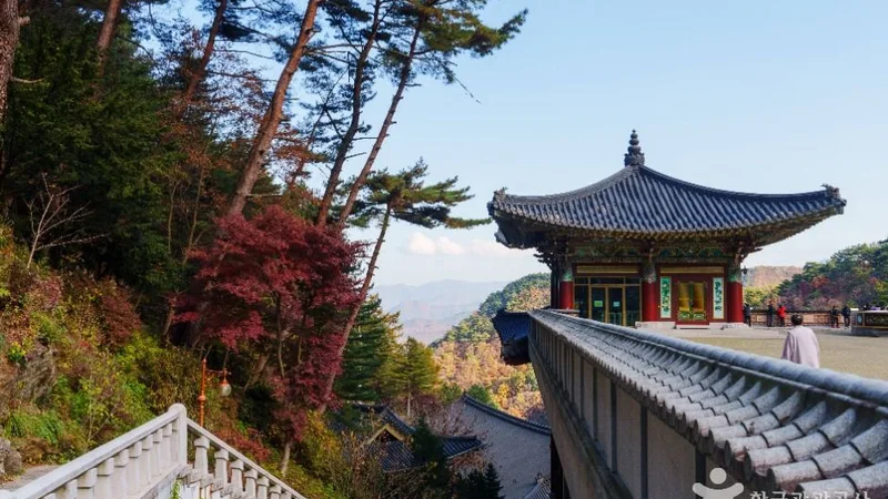 구인사(단양)