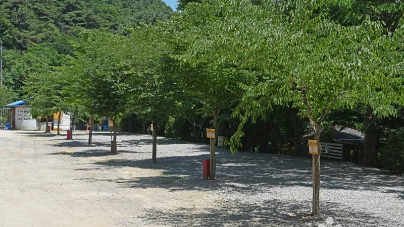 광덕산 관광농원
