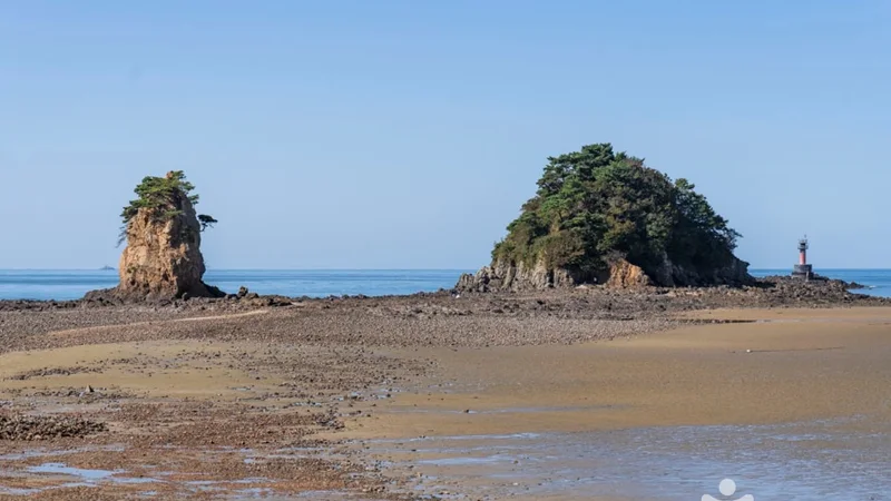 꽃지해안공원