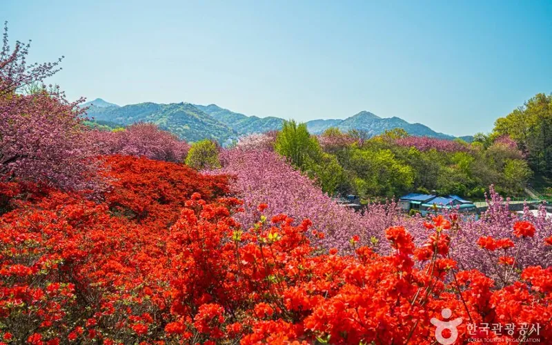 완산공원