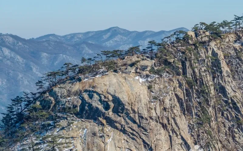 황장산