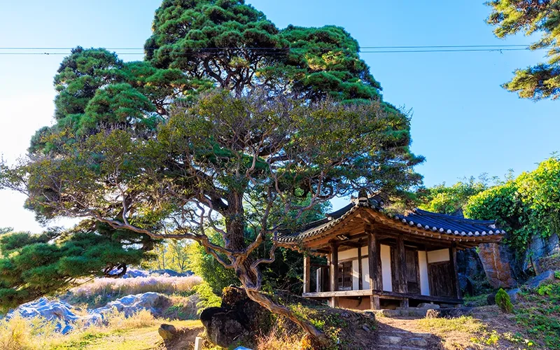 봉천사