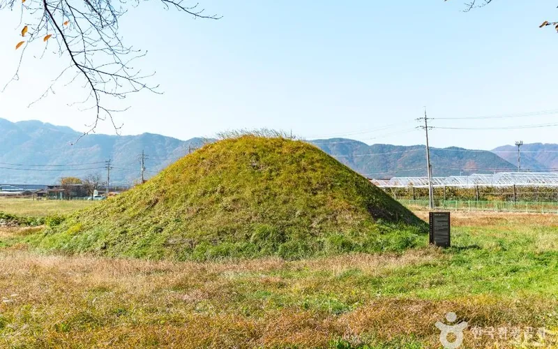 경주 금척리 고분군