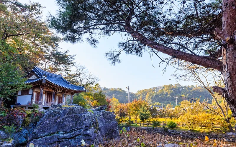 주암정