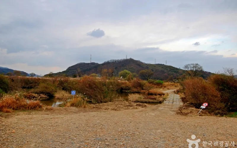 봉황경(능암리섬)