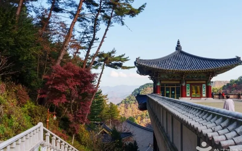 구인사(단양)