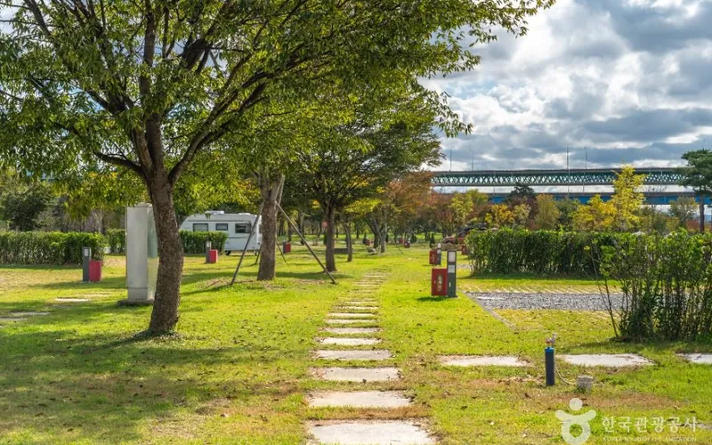 목계솔밭(충주)