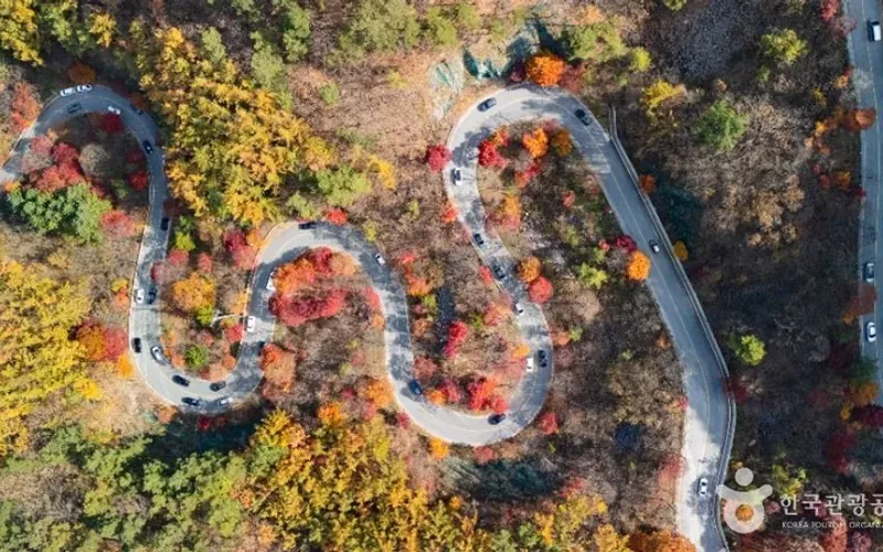 단양 보발재
