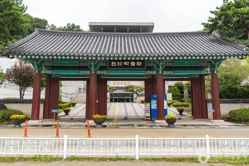 천안박물관