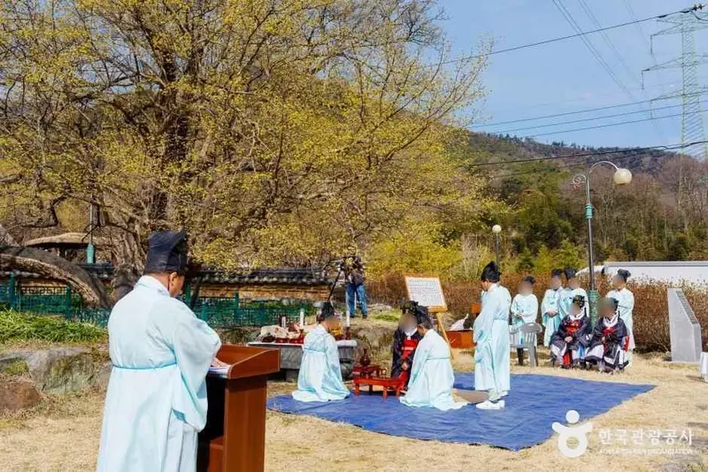 구례 산수유마을