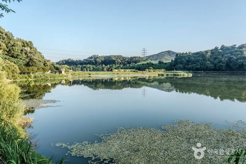 중대물빛공원