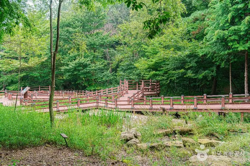 금성산생태숲