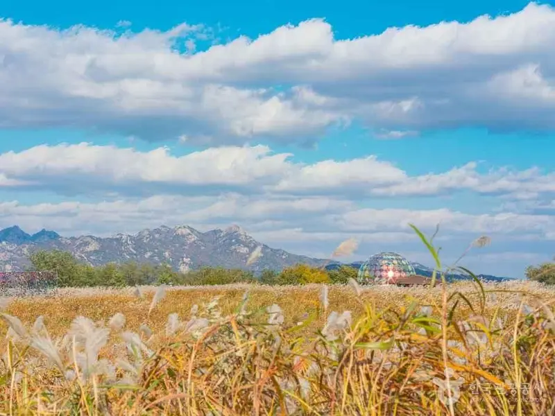 하늘공원