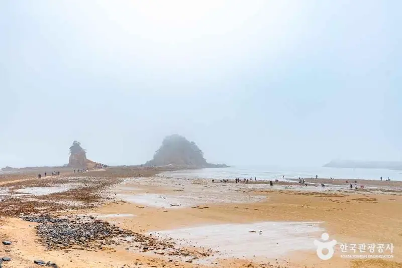 꽃지해수욕장