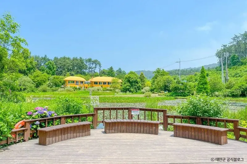 천리포수목원