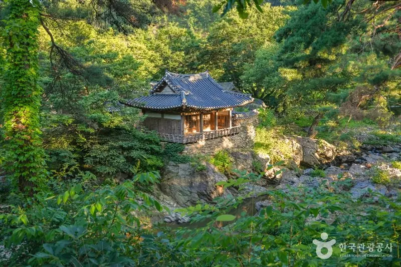 초간정